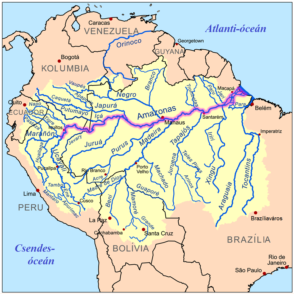 Amazonas, Brazília